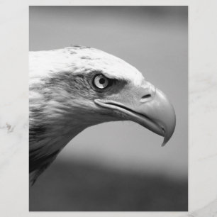Papier Oeil d'aigle noir et blanc