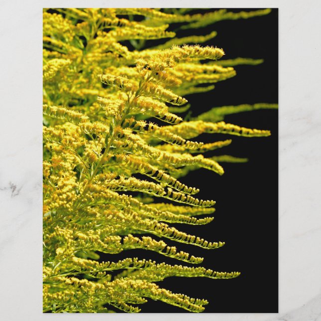 Papier Or or de tige d'or (Devant)