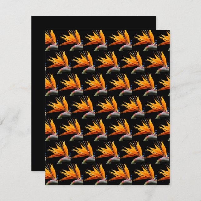 Papier Orange Bird of Paradise Black Scrapbook Paper (Devant / Derrière)