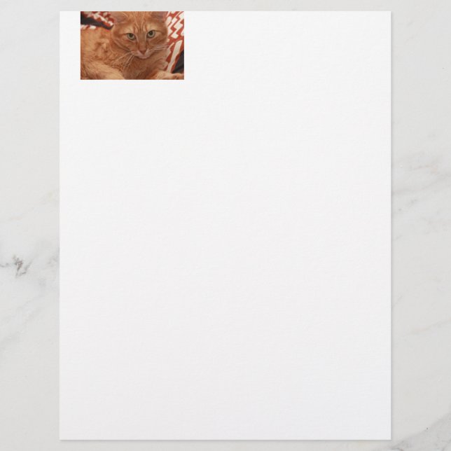 Papier Orange Tabby (Devant)