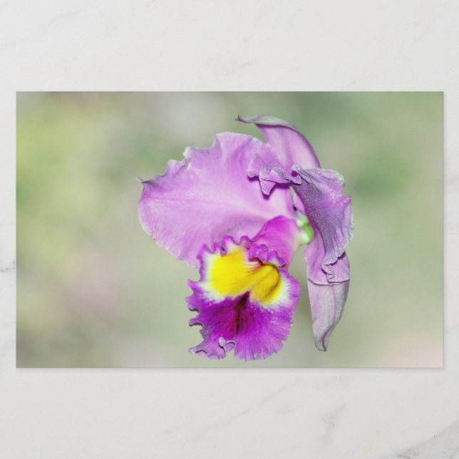 Papier Orchidée touchée par Dieu pour maman (Devant)