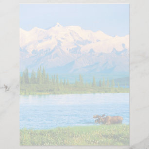 Papier Orignal dans le lac Wonder