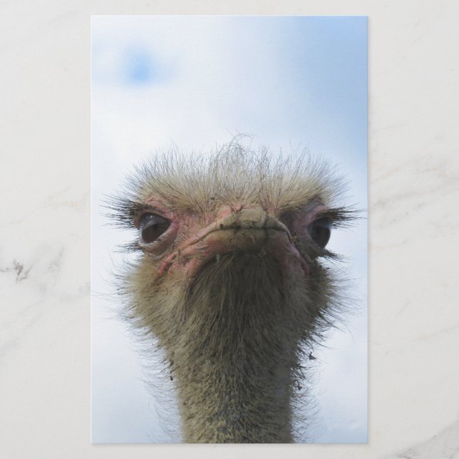 Papier Ostrich Portrait (Devant)