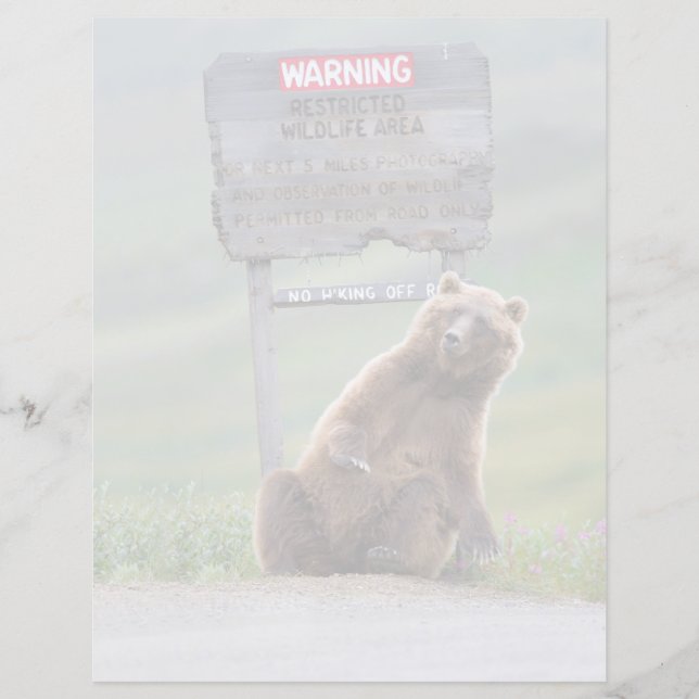 Papier Ours Grizzly Joue Avec Un Panneau (Devant)