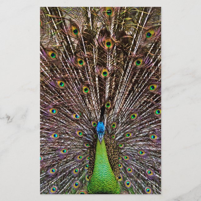 Papier Paon (Devant)