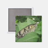 Papier Papier papillon Magnet (Recto/Verso)