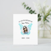 Papier Papillon bleu budget | Photo Memorial Invitation (Debout devant)