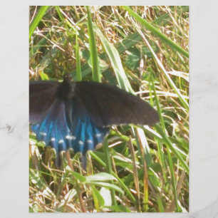Papier papillon bleu et noir