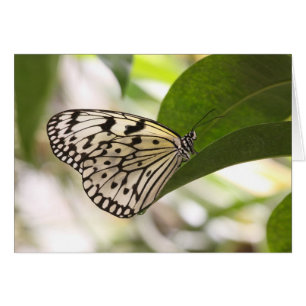 Papier papillon cerf-volant sur une feuille verte
