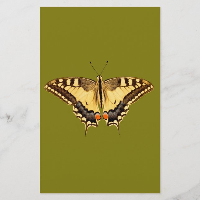 Papier Papillon dansant (Devant)