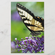 Papillon jaune et noir sur lavande