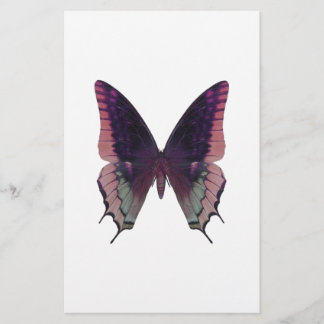 Papier Papillon rose détaillé