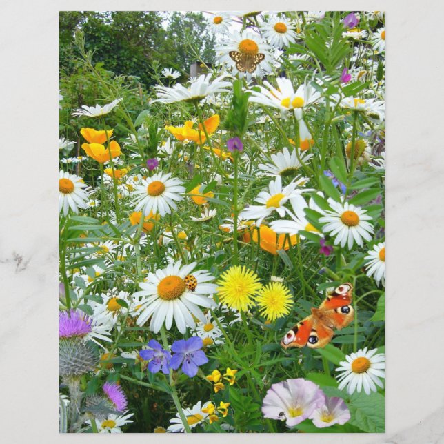 Papier Papillons et Fleurs sauvages (Devant)