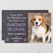 Papier Partenaire dans la Faire-part de grossesse de chie (Devant / Derrière)