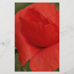 Papier Pavot
