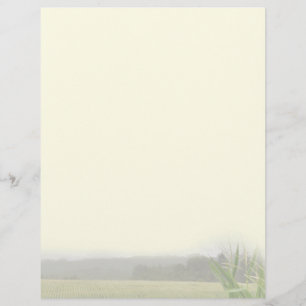 Papier Paysage agricole avec plantes de maïs vierge