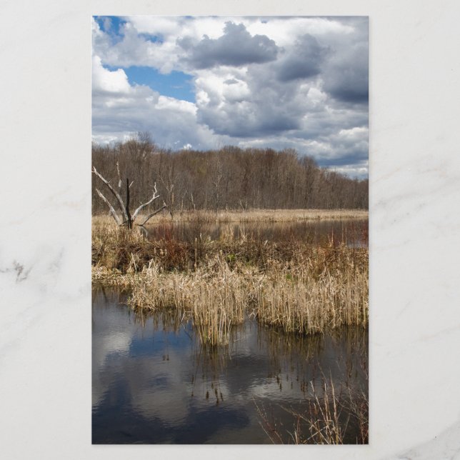 Papier Paysage de zones humides (Devant)