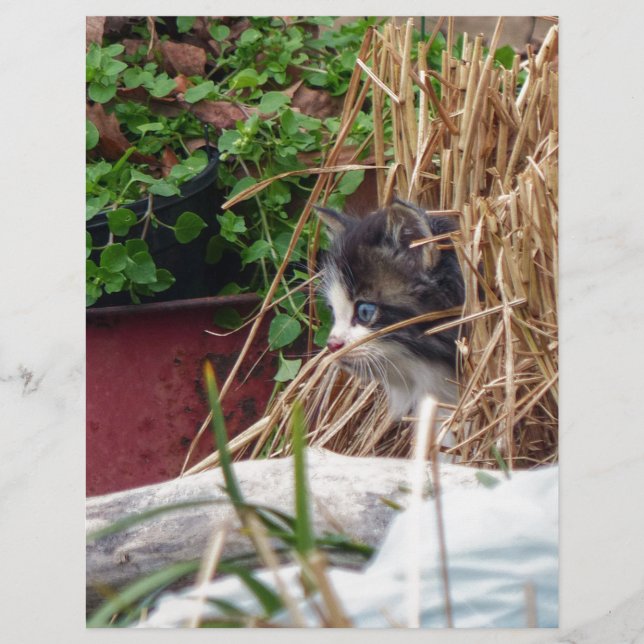 Papier Peek-a-Boo (Devant)