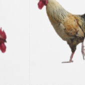 Papier peint (Couture)