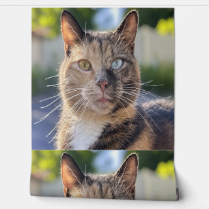 Papier Peint Ajouter une Personnaliser photo de chat