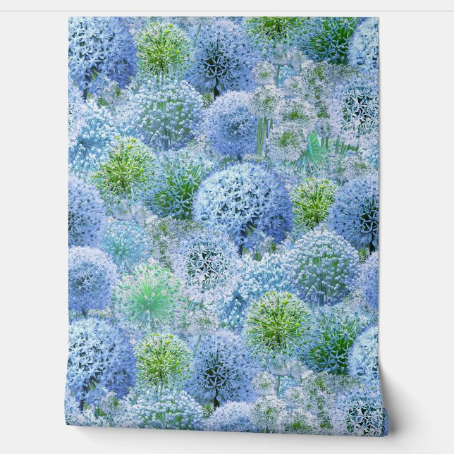Papier Peint Alliums bleus (Déroulement)