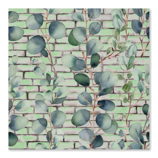 Papier Peint Aquarelle Eucalyptus Branche Bracelet Feuille Sage