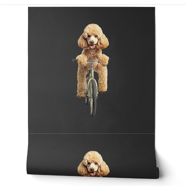 Papier Peint Caniche  (Déroulement)