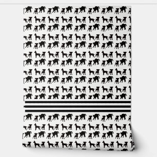 Papier Peint Chiens Et Chats