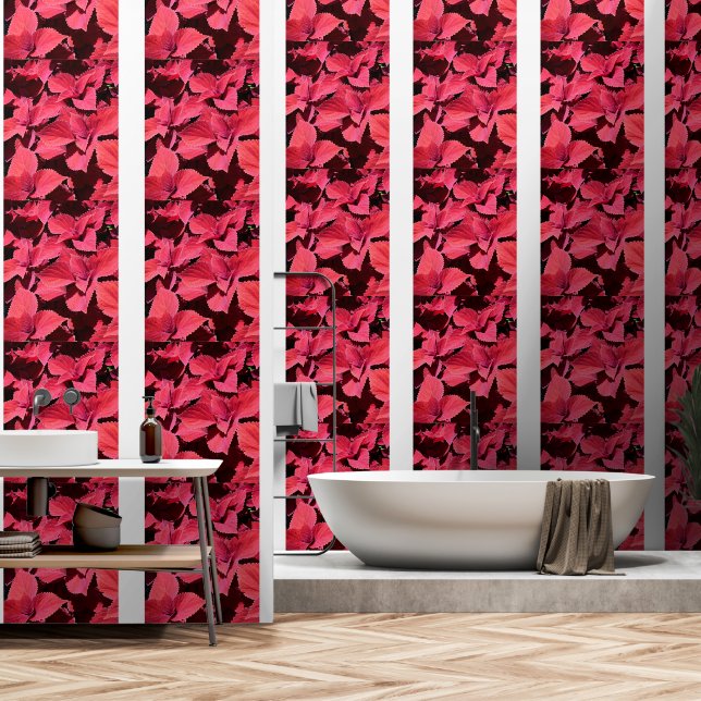 Papier Peint Clôture de Coleus (Salle de bain)