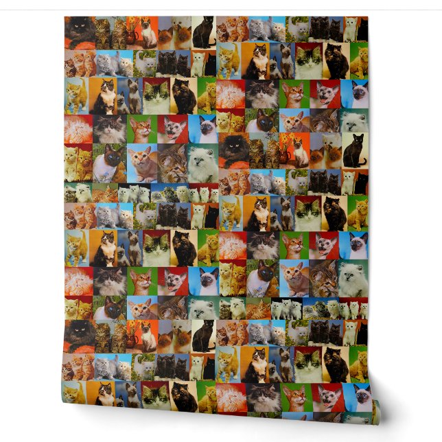 Papier Peint Collage Kitty Vintage (Déroulement)