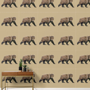 Papier Peint Cook bear