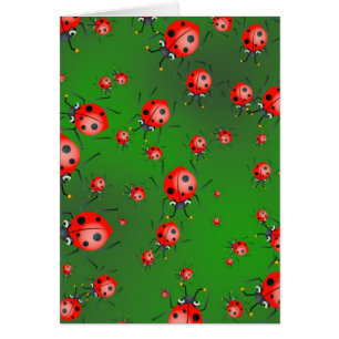 Papier peint de coccinelle