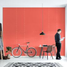 Décor Moderne Maison de Bureau Rose Corail Hiver
