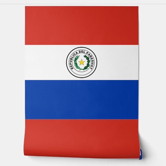 Papier Peint Drapeau du Paraguay (Déroulement)