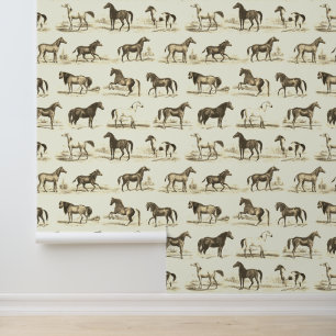 Papier Peint Élégante race Vintage Cheval Motif crème beige