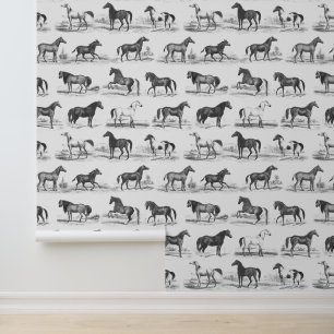 Papier Peint Élégante race Vintage Cheval Motif noir blanc