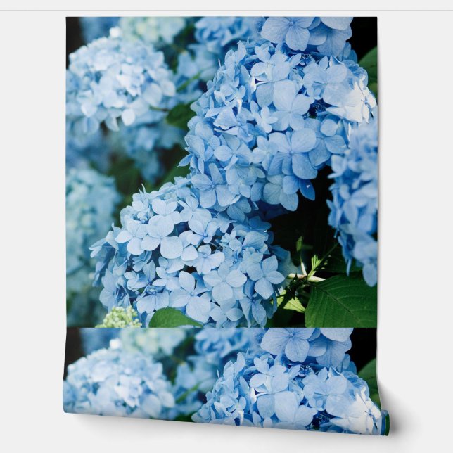 Papier Peint Fleur (Déroulement)