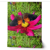 Papier Peint fleur d'aster mexicain avec une Doris Longwing (Déroulement)
