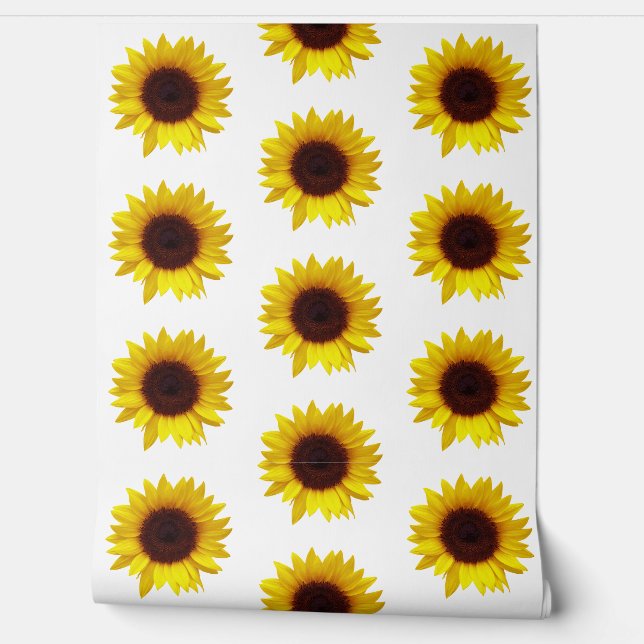 Papier Peint Fleur Tournesol (Déroulement)