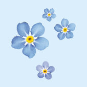 Papier Peint Fleurs de myosotis bleues - Conception aquarelle