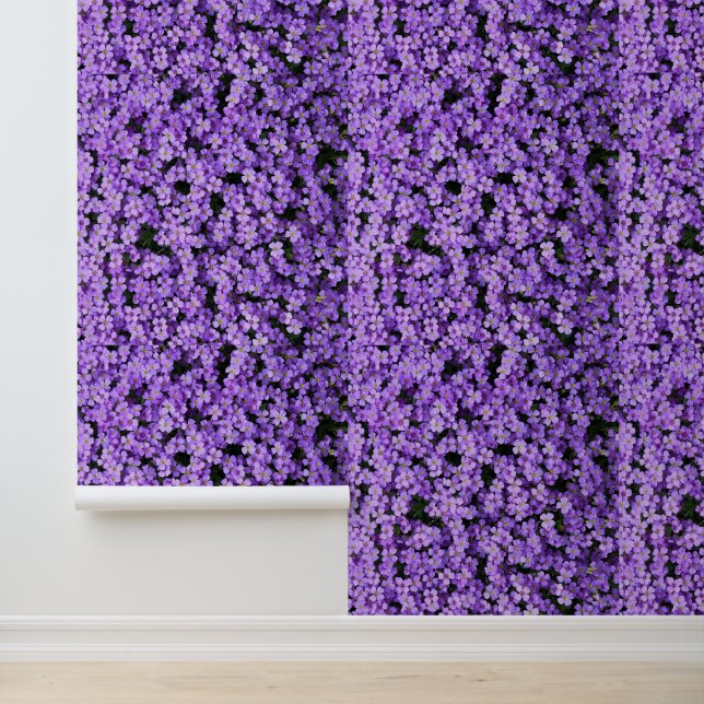 Papier Peint Fleurs violettes (Application)