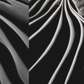 Papier Peint Flux fractal (Couture)