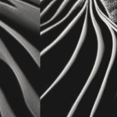 Papier Peint Flux fractal (Couture)