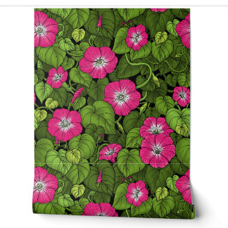Papier Peint Glorieuse du matin rose et verte