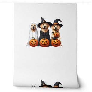 Papier Peint Golden Retriever Ghost Halloween Amoureux de les c