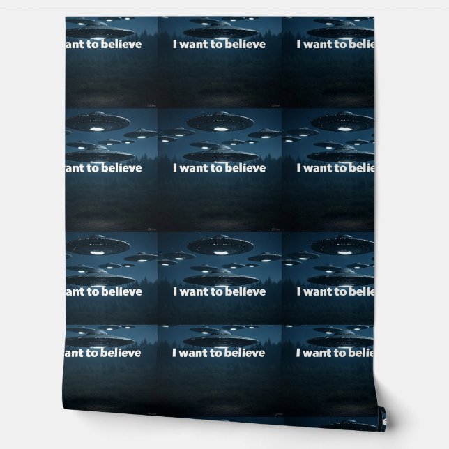 Papier Peint I want to believe (Déroulement)