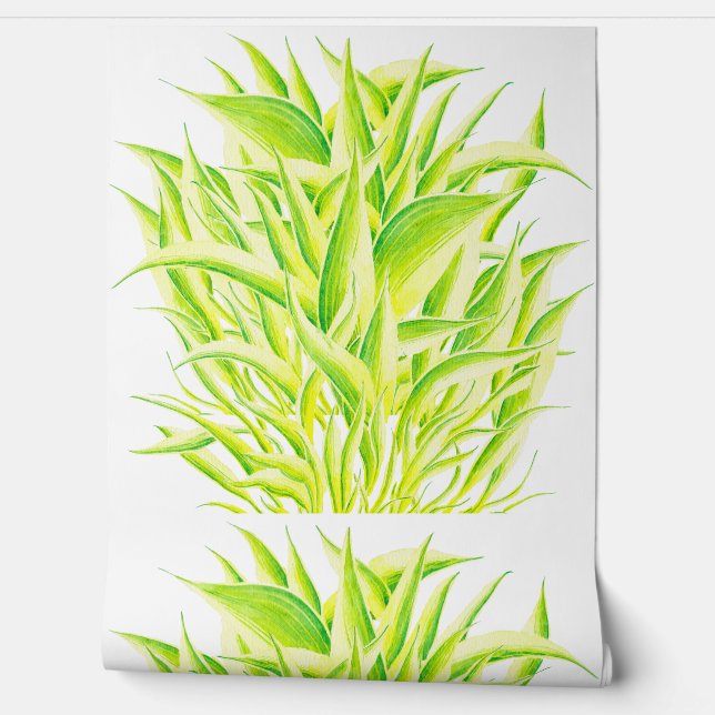 Papier Peint Iris zèbre sur un  (Déroulement)