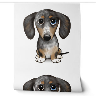 Papier Peint Merle Dapple Dachshund mignon chien Wiener