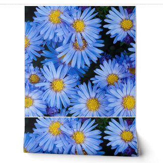 Papier Peint Nature Floral Fleurs florales Pétales Botanique