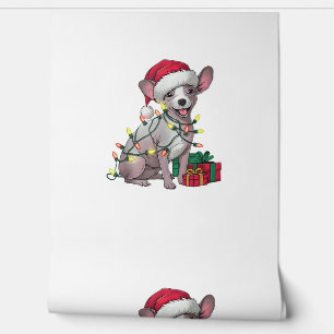 Papier Peint Noël Éclairage Santa Chapeau Mexicain Chiens sans